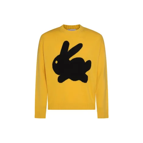 JW Anderson Желтые Мужские Свитера