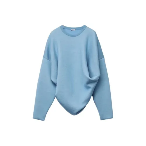 LOEWE Совместное издание Синий Мужской Свитеры