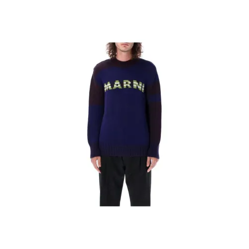 MARNI Синие Мужские Свитера