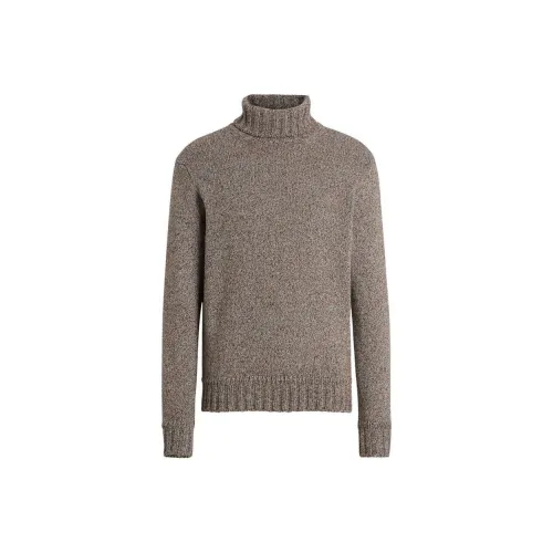 Ermenegildo Zegna Тауповые Мужские Свитера