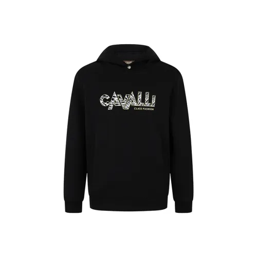 Cavalli Class Мужские Свитшоты