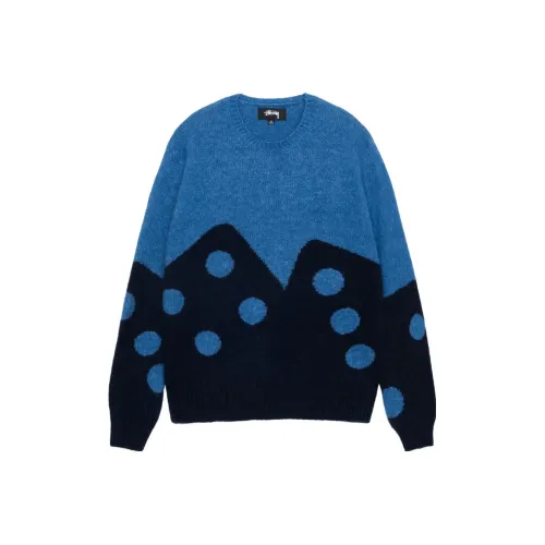 Stussy Унисекс Свитера