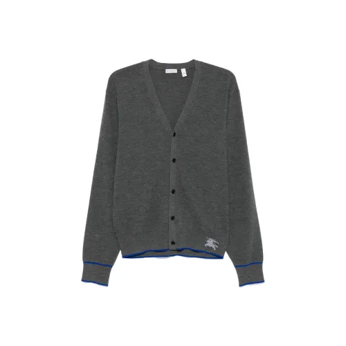 Burberry FW24 Трикотаж Мужской Серый