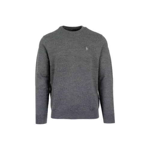 Polo Ralph Lauren FW23 Свитер Мужской Серый