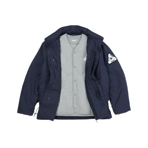 Дворцовый синий мужской куртки