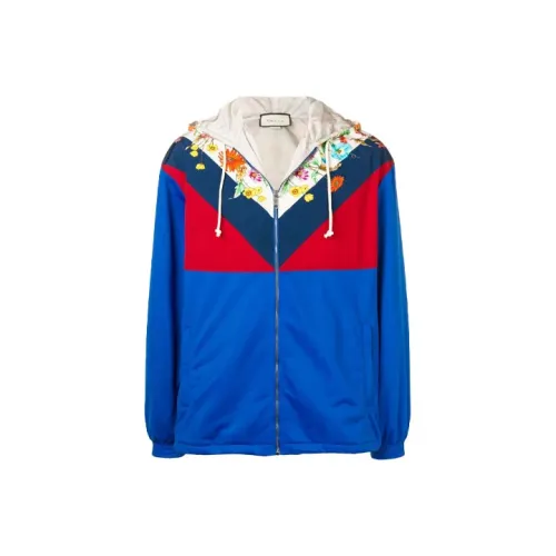 GUCCI Многоцветные Мужские Куртки