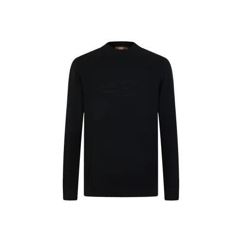 Cavalli Class Мужские Свитера