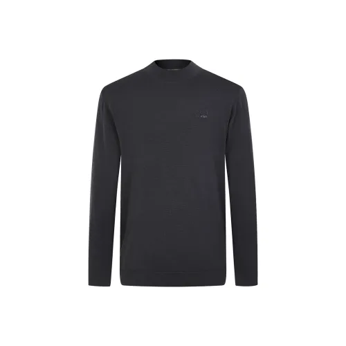 Cavalli Class Мужские Свитера