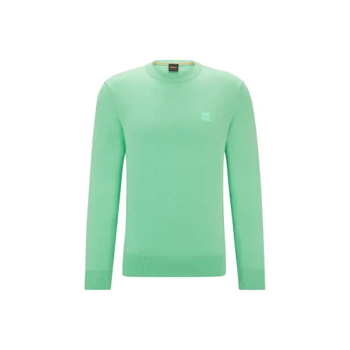 Hugo Boss Зеленые Мужские Свитера