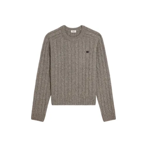 CELINE SS25 Свитер Мужской Коричневый