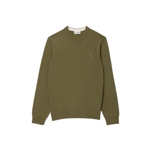 LACOSTE Collaboration Трикотаж Мужской Хаки Зеленый