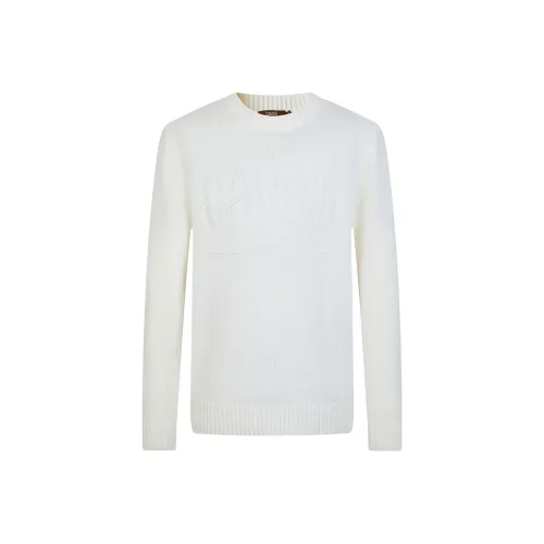 Cavalli Class Мужские Свитера