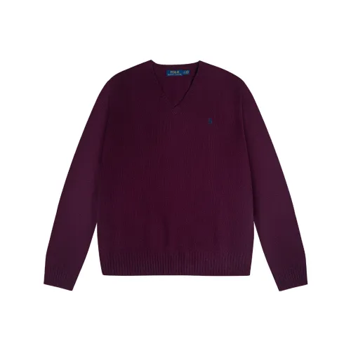 Polo Ralph Lauren FW23 Свитер Мужской Бордовый