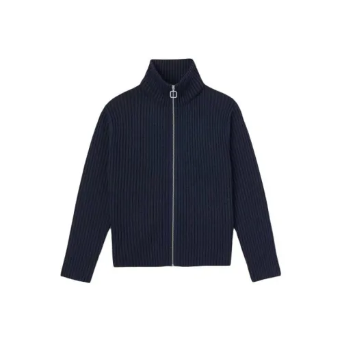 Sandro Синий Мужской Трикотаж