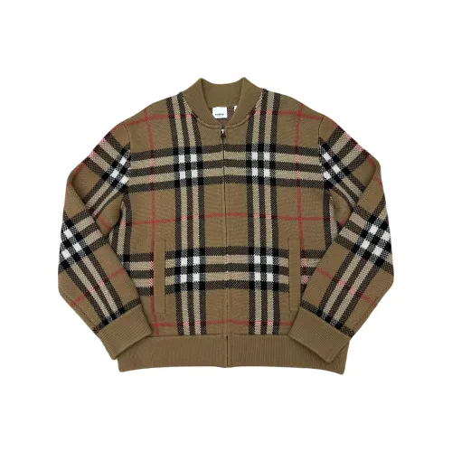 Burberry Коричневые Мужские Свитера