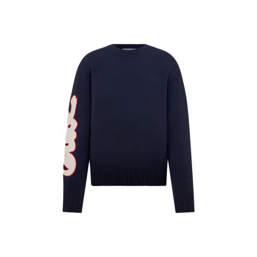 DIOR Синие Мужские Свитера