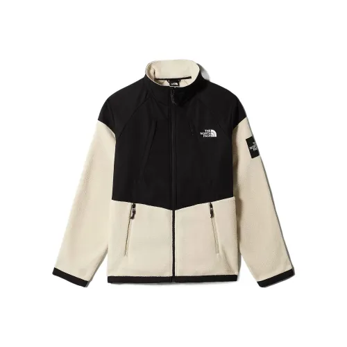 THE NORTH FACE DENALI Флис Одежда Мужская Бежевая