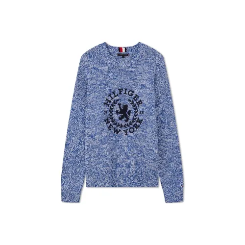 Tommy Hilfiger Трикотаж Мужской Синий Белый Многоцветный