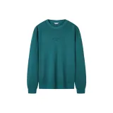 Сосновый зеленый + Стандартная версия