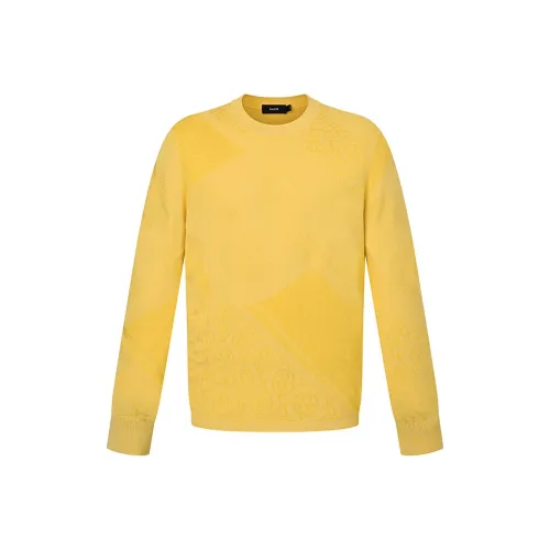 RARE FW24 Трикотаж Мужской Желтый