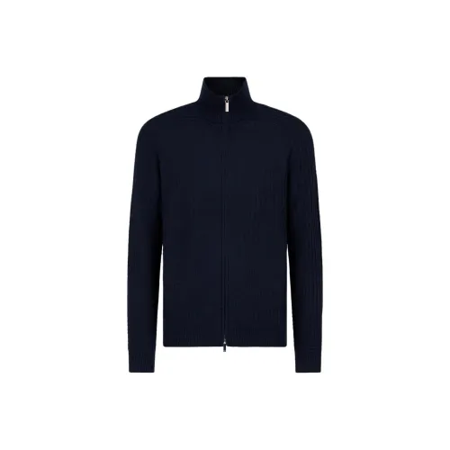 EMPORIO ARMANI Трикотаж Мужской Синий