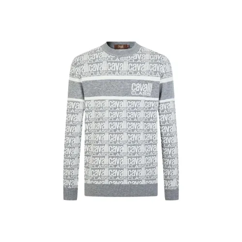 Cavalli Class Мужские Свитера