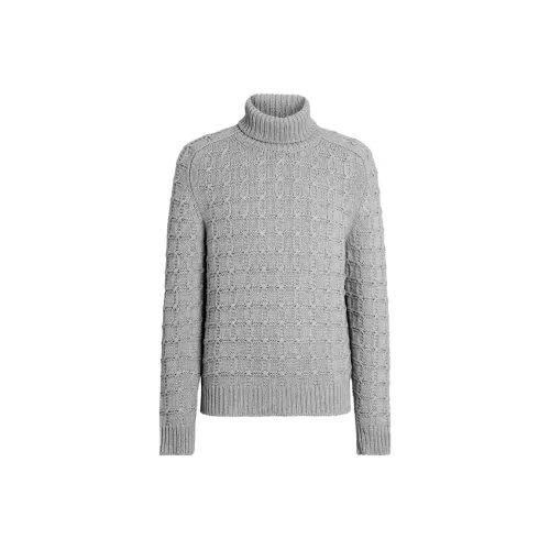 Ermenegildo Zegna Серые Мужские Свитера