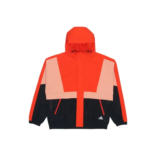 Adidas Orange Мужские Куртки