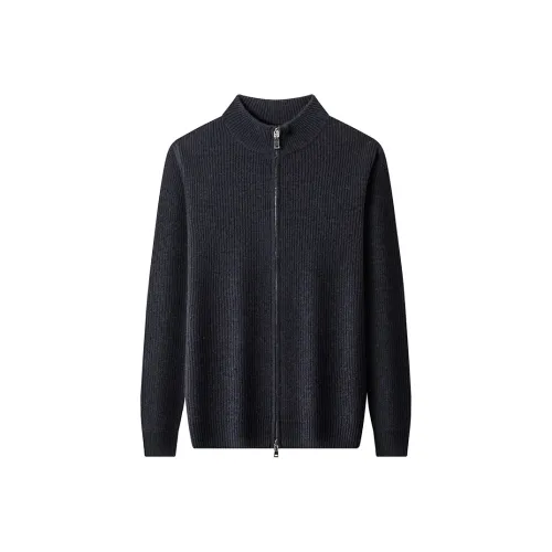 PIERRE CARDIN Мужские Свитера