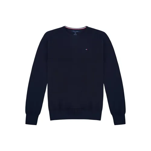 Tommy Hilfiger Трикотаж Мужской Темно-синий