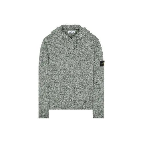 Stone Island Светло-зеленые Мужские Свитера
