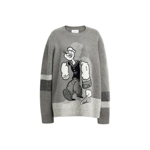 COACH Серый Унисекс Свитеры