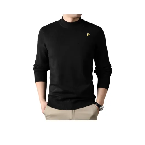 PIERRE CARDIN Мужские Свитера