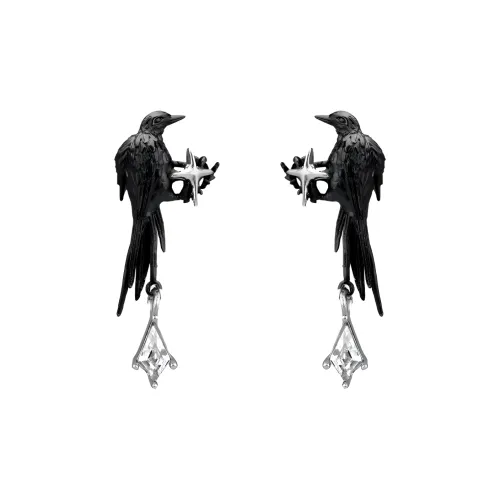 KING OF BLING Серьги с цирконием унисекс сплав