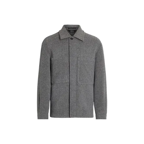 Ermenegildo Zegna Серые Мужские Куртки
