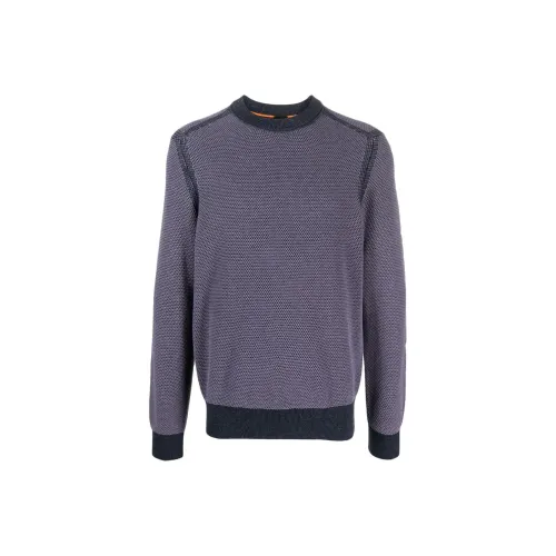 Hugo Boss Фиолетовые Мужские Свитера