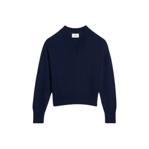 AMIPARIS Синий Унисекс Трикотаж