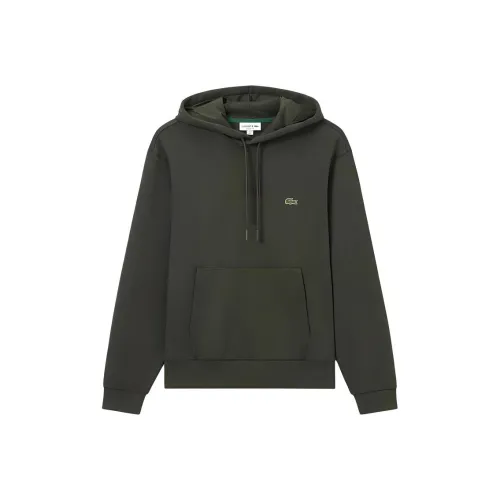 LACOSTE Мужские Свитшоты Коричневого и Зеленого Цвета
