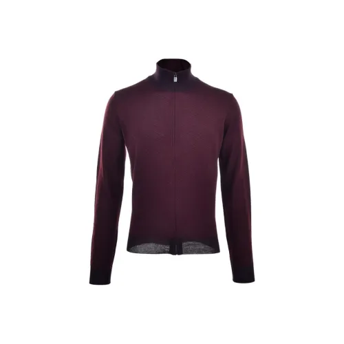 Corneliani Мужские Свитера Бордового Цвета
