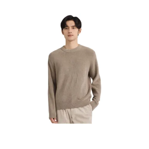 ZIOZIA Хаки Мужской Трикотаж