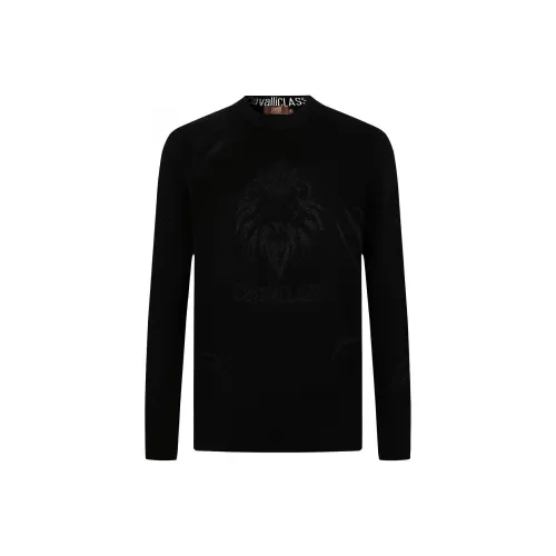 Cavalli Class Мужские Свитера