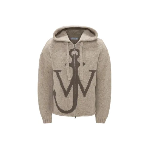 JW Anderson Коричневые Мужские Свитера