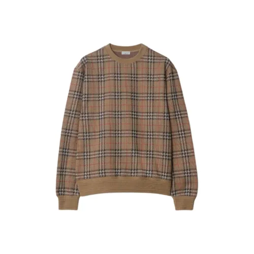 Burberry Коричневые Мужские Свитера