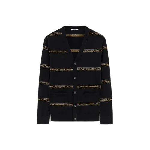 KARL LAGERFELD FW23 Трикотаж Мужской Черный