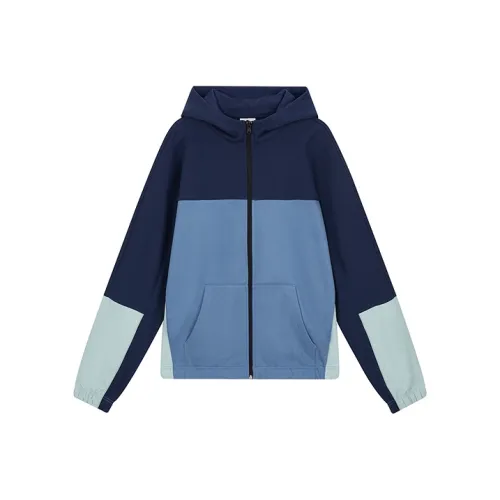 Champion Темно-синий Унисекс Свитшоты