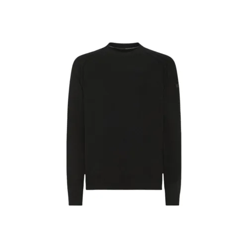 Roberto Ricci Designs Черные Мужские Свитера