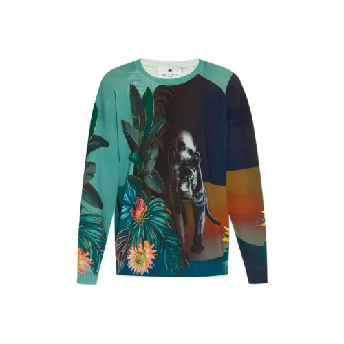 ETRO Зеленые Мужские Свитера