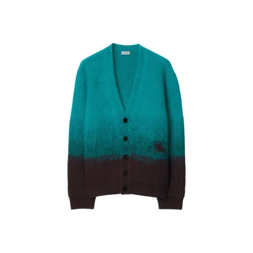Burberry Шерсть Смесь с Мохером Кардиган Трикотаж Мужской Изумруд Bird