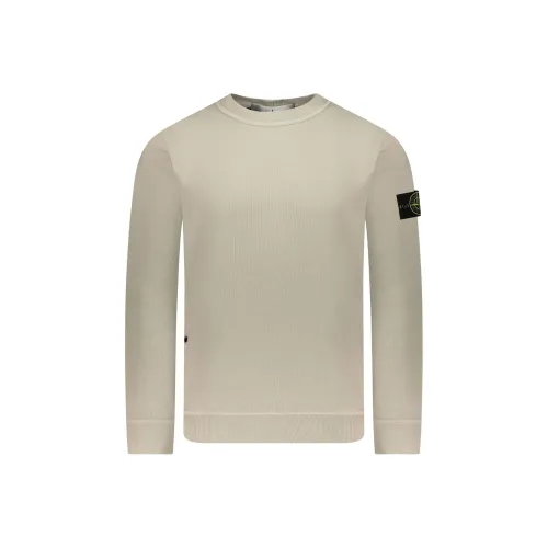 STONE ISLAND Толстовка Мужская Светлый Умбра