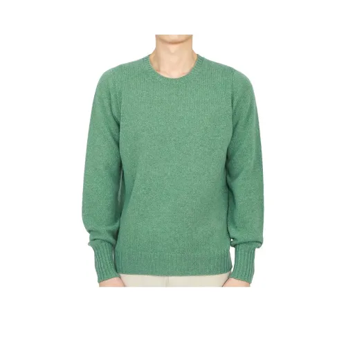 Drumohr Зеленый Мужской Трикотаж